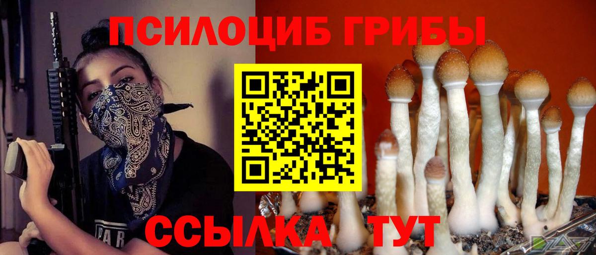 Галлюциногенные грибы Cubensis  Вход с VPN  Ханты-Мансийск  Галлюциногенные грибы мицелий 