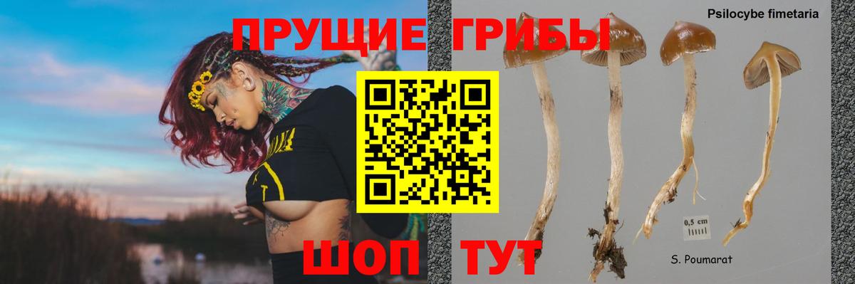 Галлюциногенные грибы мухоморы Ханты-Мансийск